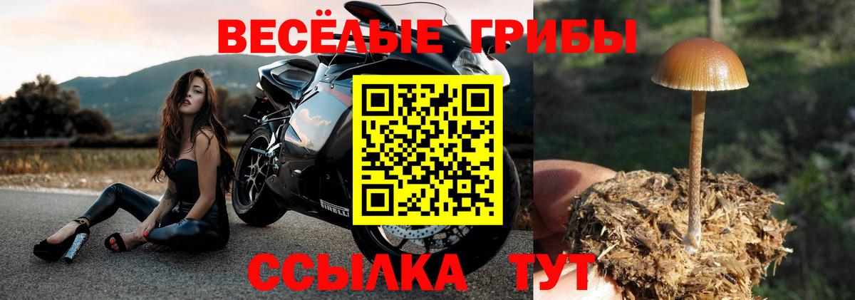 Галлюциногенные грибы MAGIC MUSHROOMS  Вход с VPN  Благодарный 