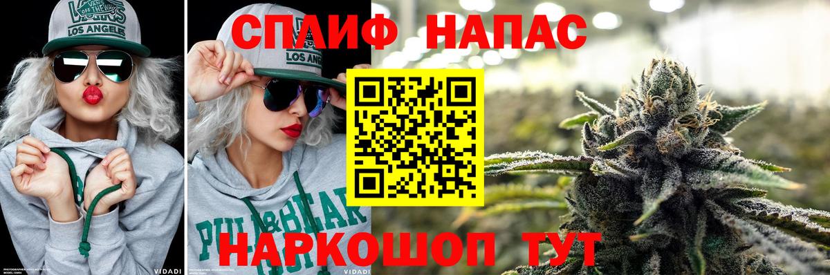 Конопля планчик  Марихуана конопля  Благодарный  Каннабис планчик  Бошки Шишки сатива  Вход с VPN 